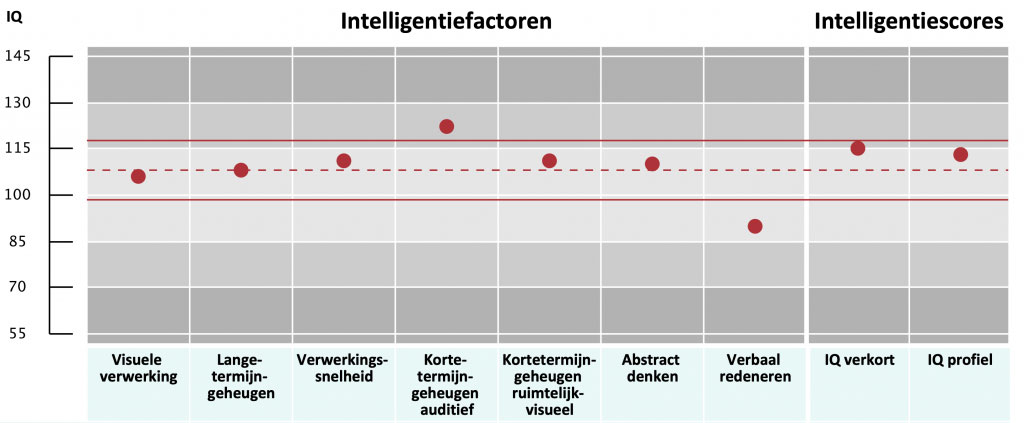testpsycholoog-ids-2